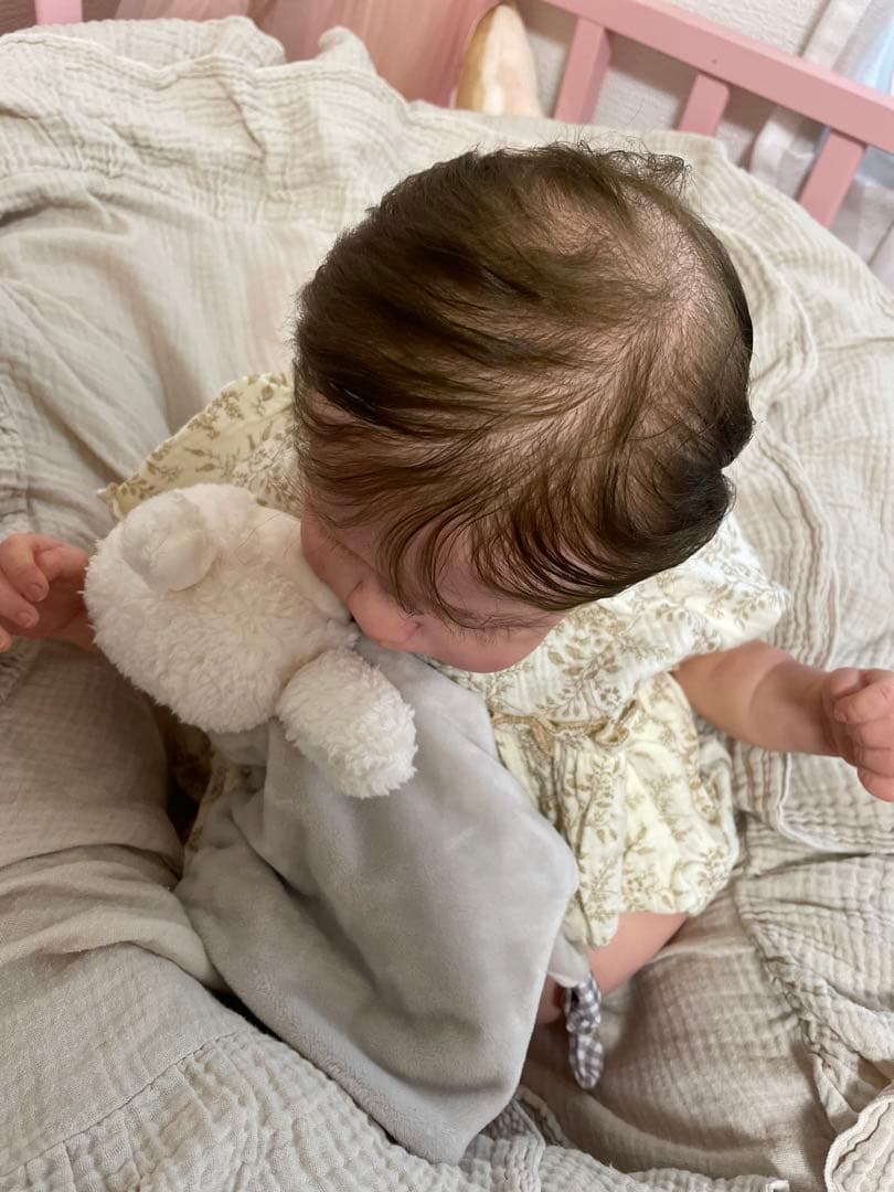 リボーンドール★Erica★246/1550限定 正規品、証明書付き