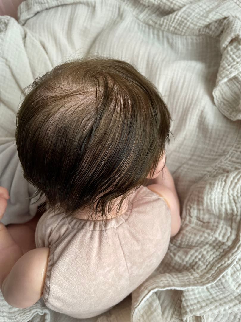 リボーンドール★Erica★246/1550限定 正規品、証明書付き