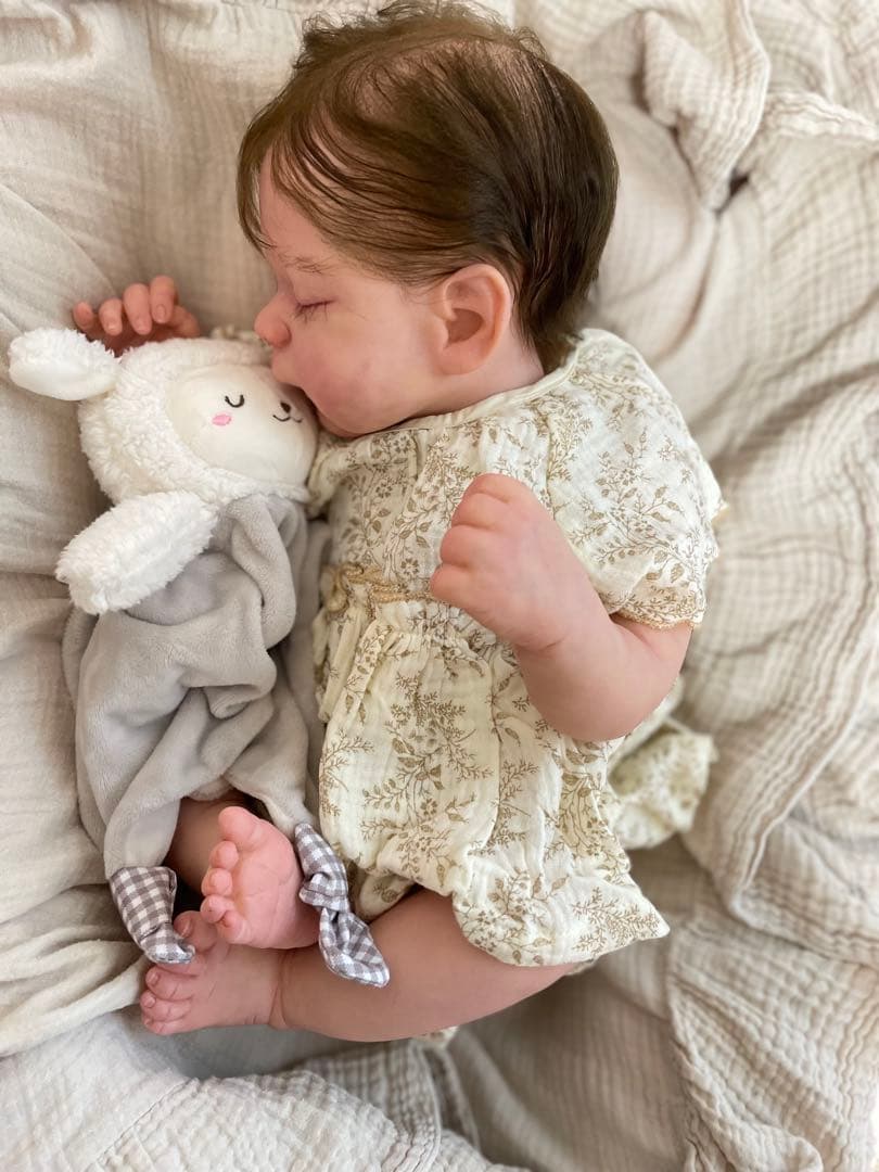 リボーンドール★Erica★246/1550限定 正規品、証明書付き