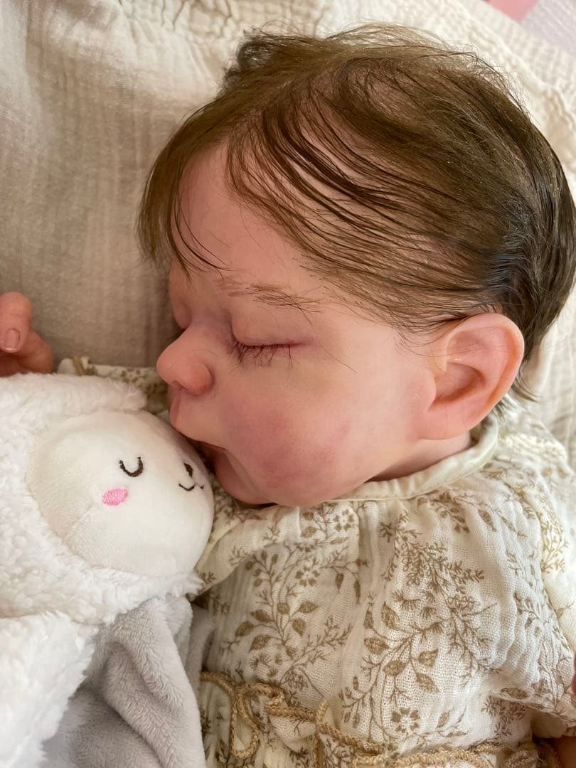 リボーンドール★Erica★246/1550限定 正規品、証明書付き