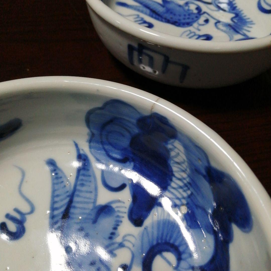 古伊万里　染付龍図鉢　5客　15.7cm　江戸中期〜天保年間