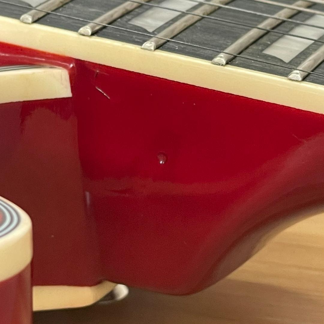 セミアコ】IRIN アイリーン ホロウFホール22フレット トレモロアーム