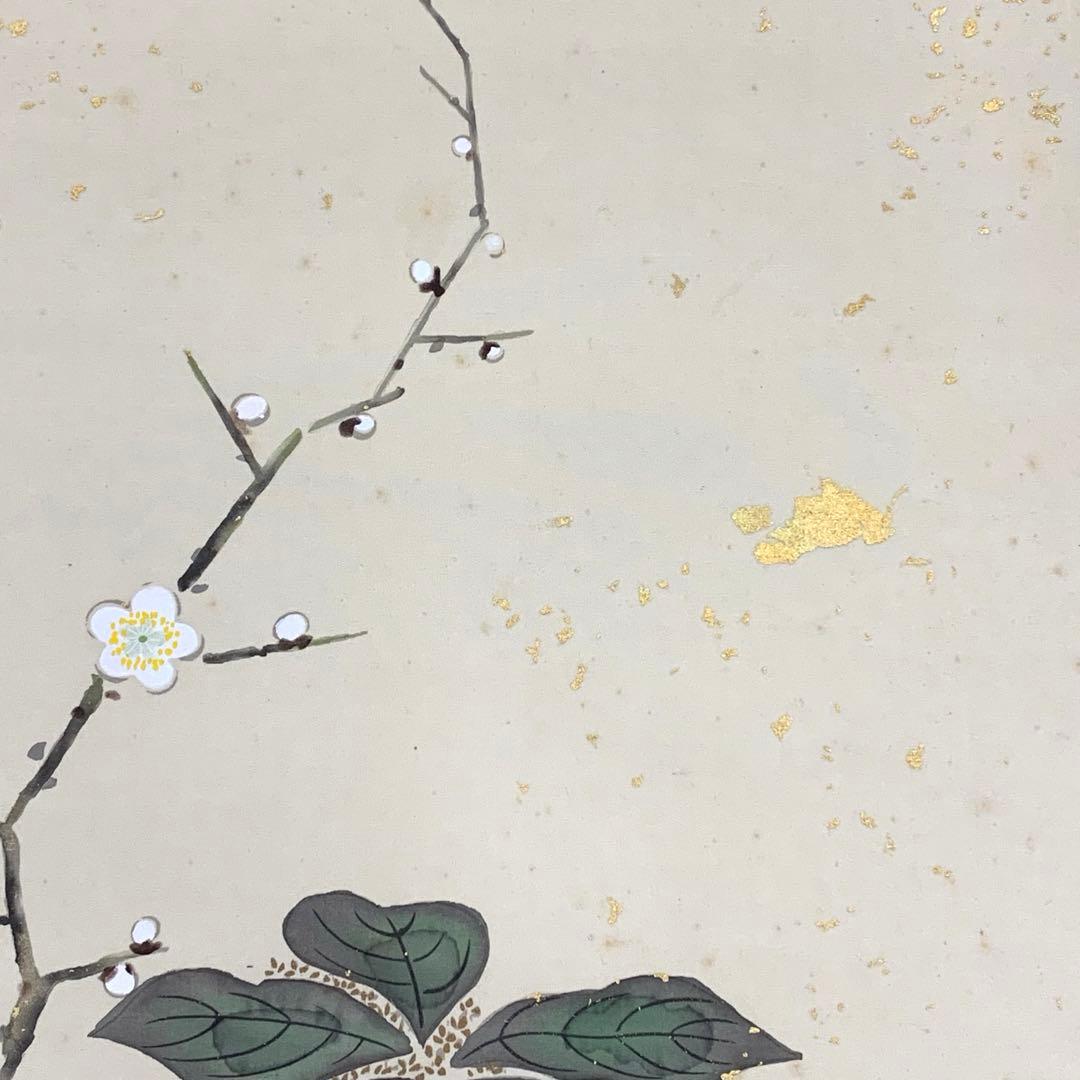 掛軸 金武翠輝 名花十友 共箱 66.6×195.4cm A-23