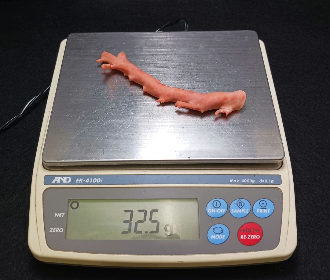 Y2678-4 国産桃色珊瑚原木 珊瑚 総重量32.5g 太軸