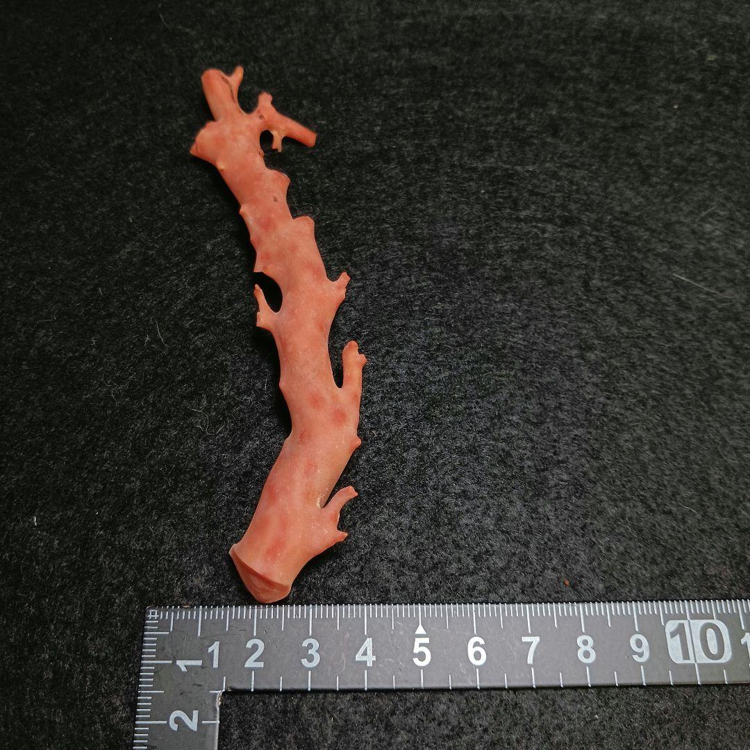 Y2678-4 国産桃色珊瑚原木 珊瑚 総重量32.5g 太軸