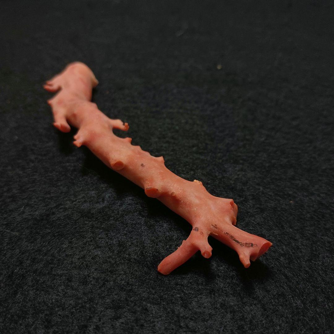 Y2678-4 国産桃色珊瑚原木 珊瑚 総重量32.5g 太軸