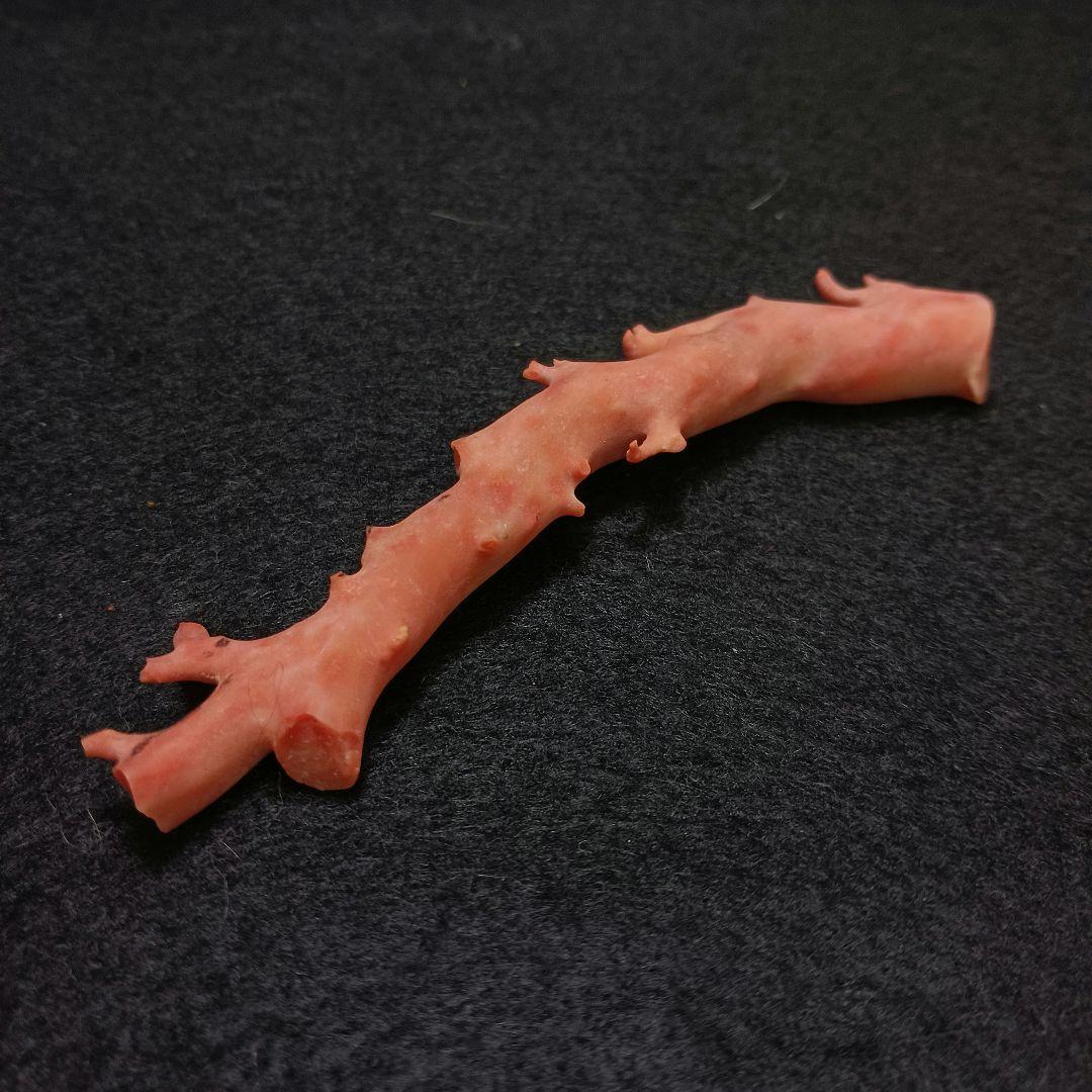 Y2678-4 国産桃色珊瑚原木 珊瑚 総重量32.5g 太軸