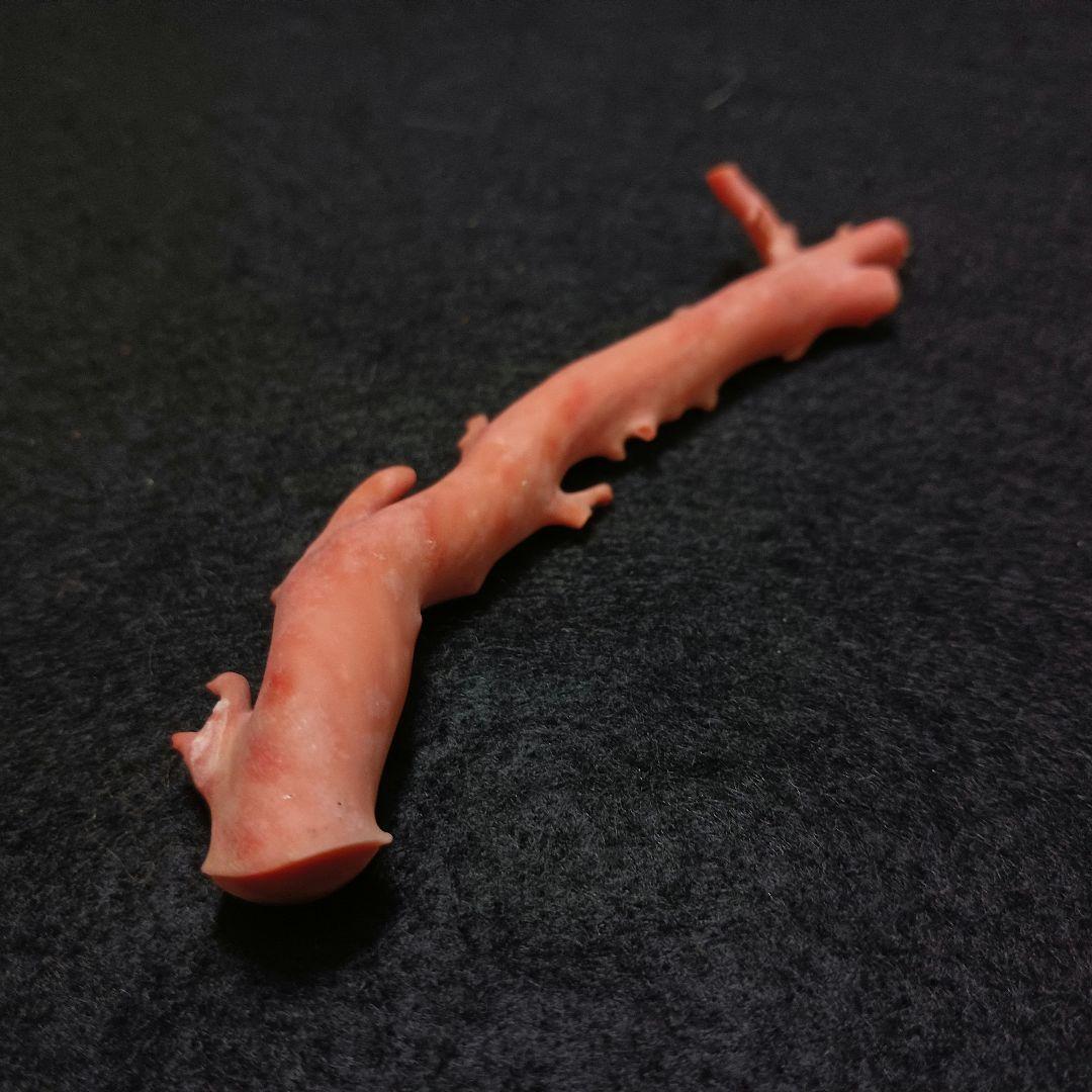 Y2678-4 国産桃色珊瑚原木 珊瑚 総重量32.5g 太軸