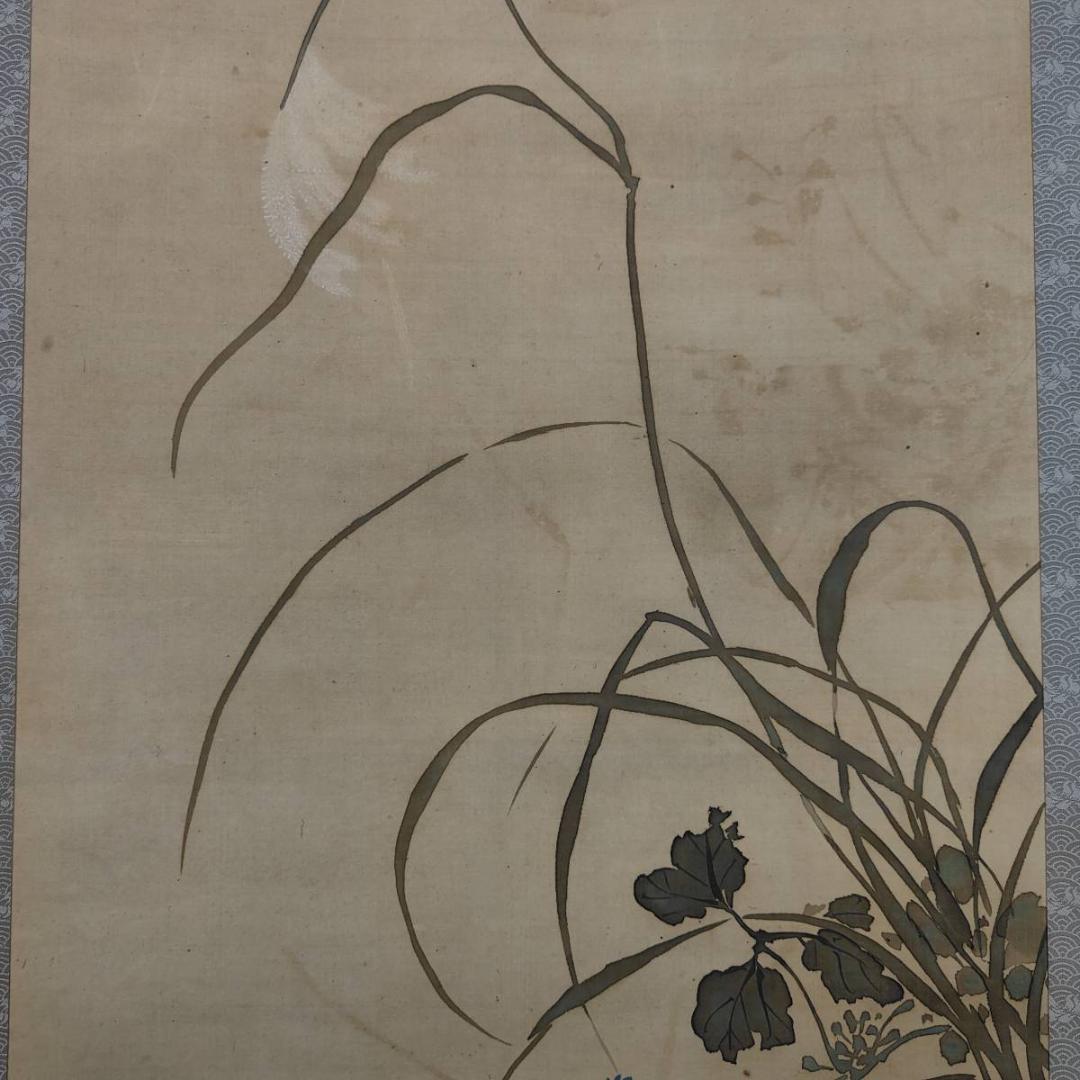 真作/芳翠/秋草鴛鴦図/オシドリ/花鳥/布袋屋掛軸A-519 - メルカリ