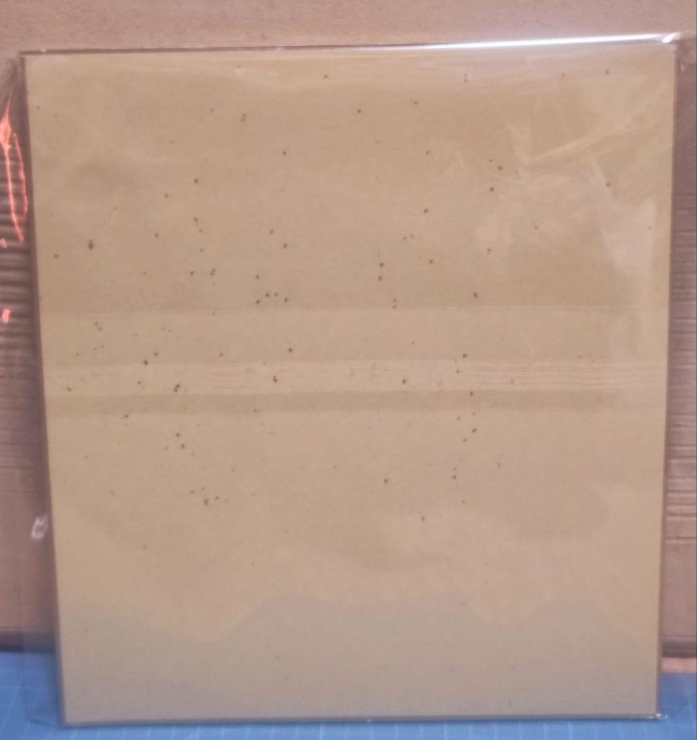 未使用　イヌクマ　スタンダード　ブースカ＆チャメゴン　蓄光タ　2体　未塗装 色紙