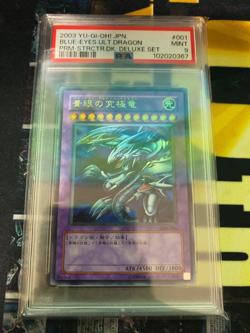 ポケモンカードゲーム 初期の仲間セット 小火龙 ヒトカゲ 海外版