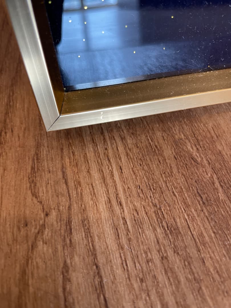 アートパネル　レッドフィッシュ