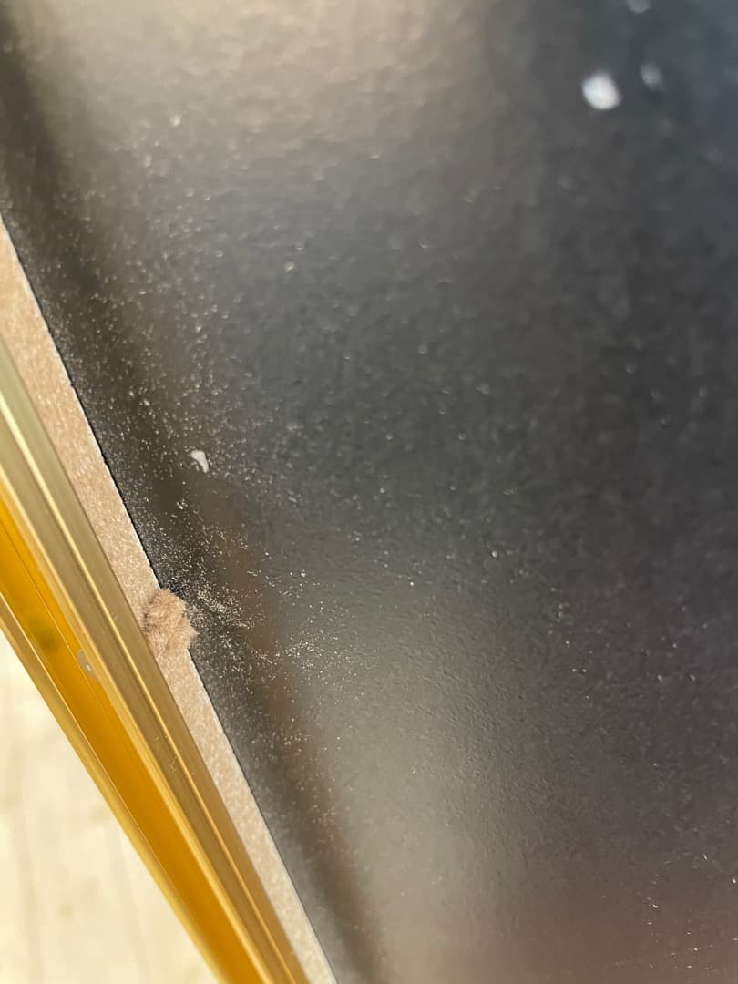 アートパネル　レッドフィッシュ