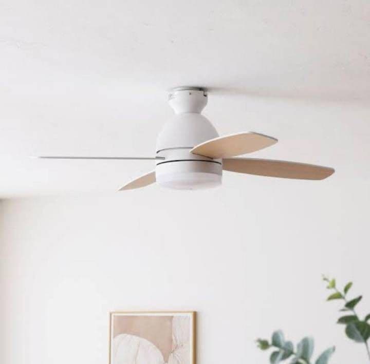 【美品】VENTOTA フォルテ  シーリングファン ライト