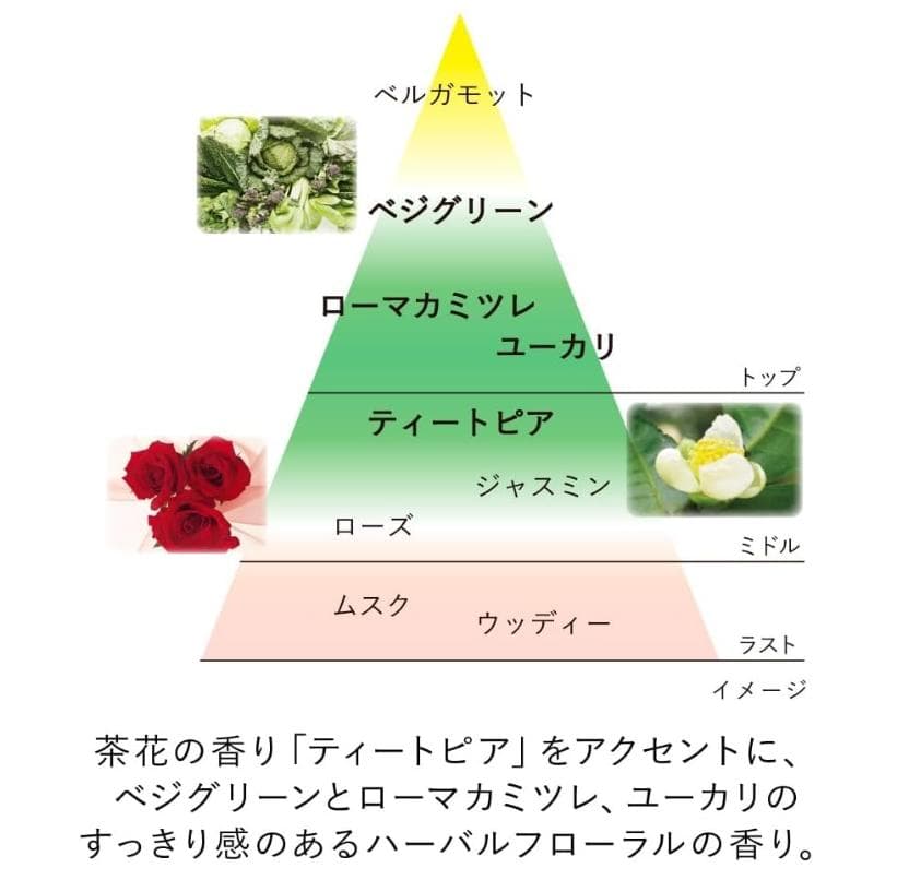 [新品] 4個セット カネボウ スキン ハーモナイザー 180ml 化粧水