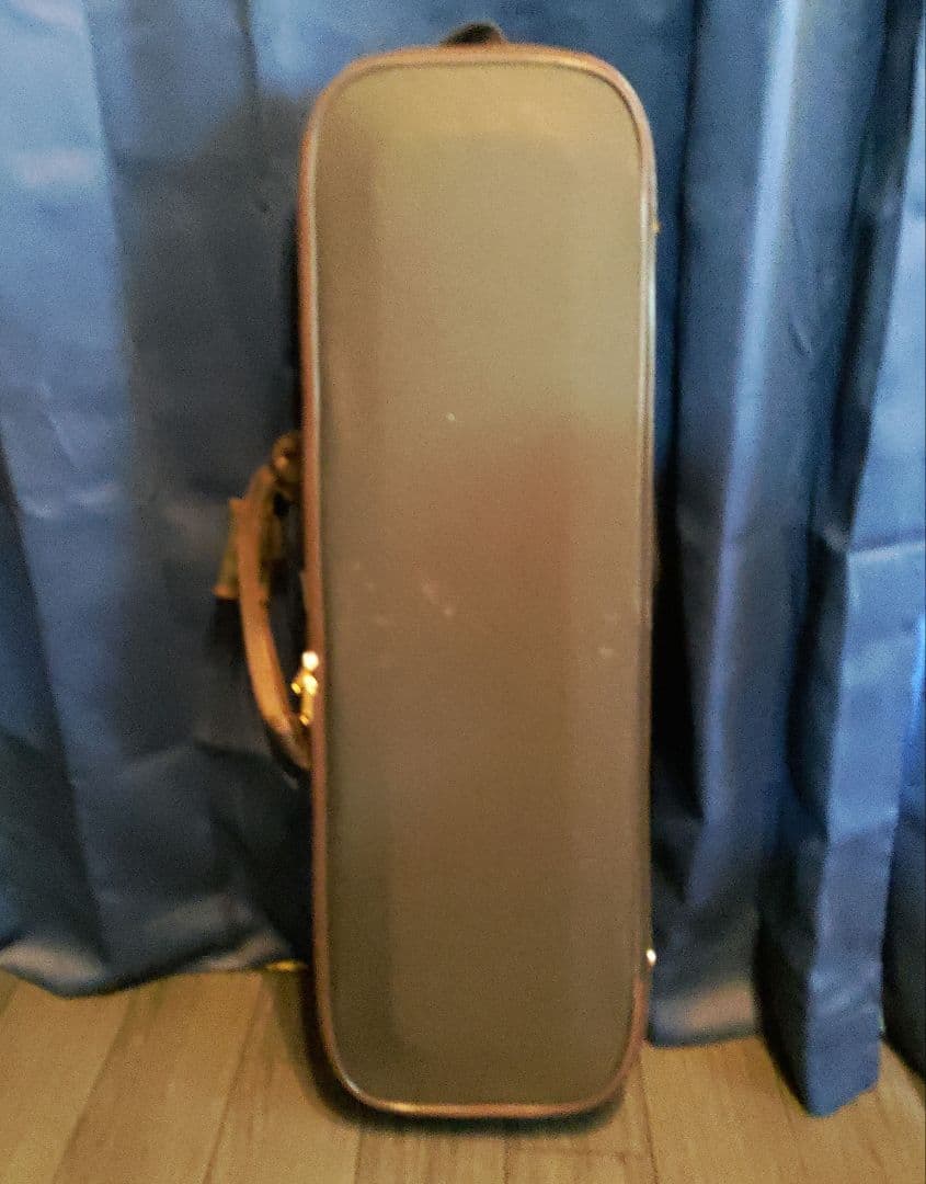 ドイツ高級バイオリン カールヘフナー Karl Hofner KH208 4/4 - メルカリ