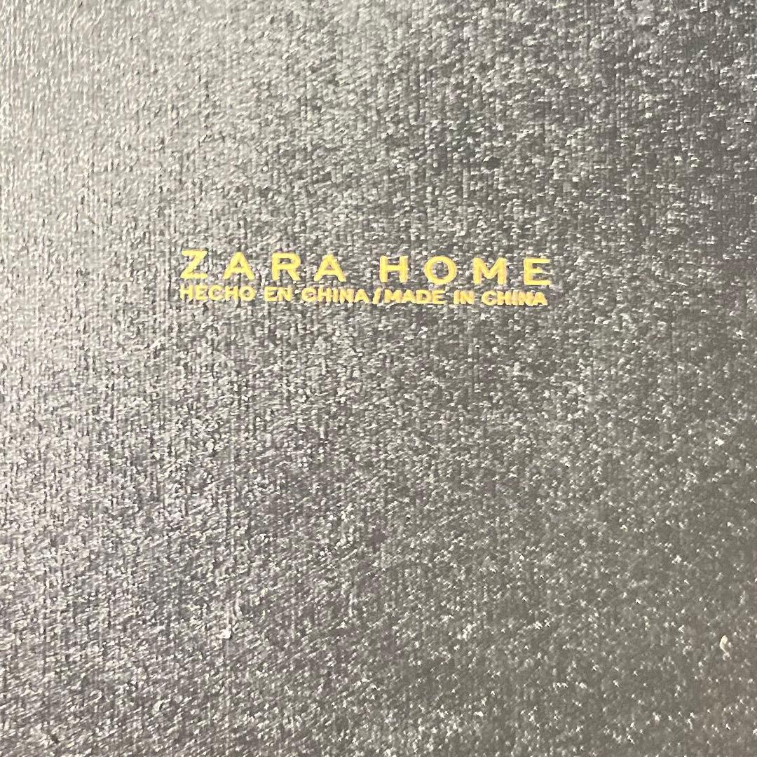 HR547 ZARA イレギュラー ウォールミラー小