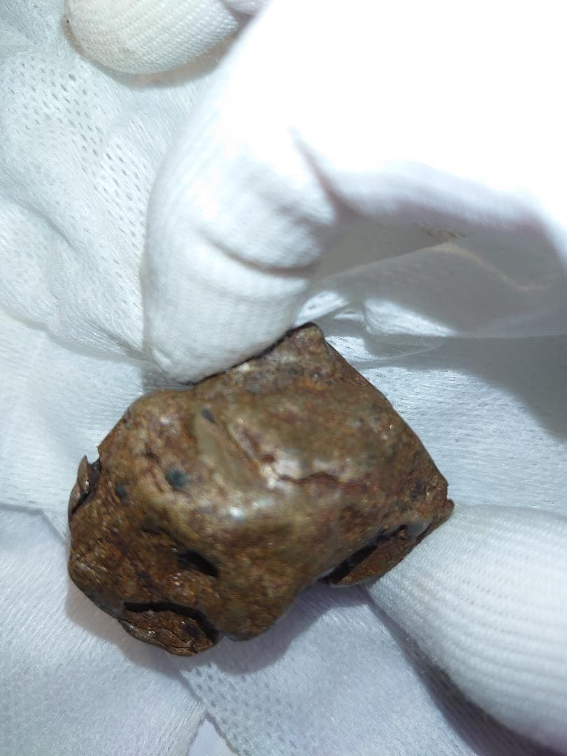 隕石 Sijoté-Alín. 189gr.