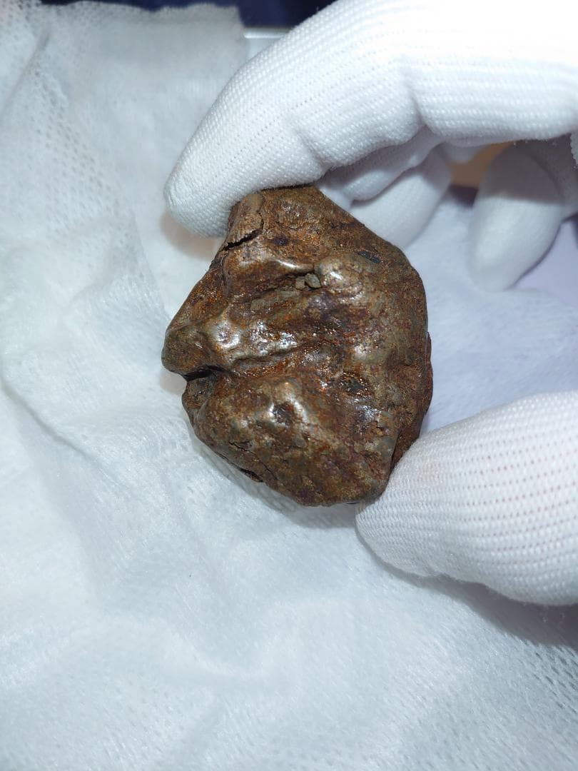 隕石 Sijoté-Alín. 189gr.