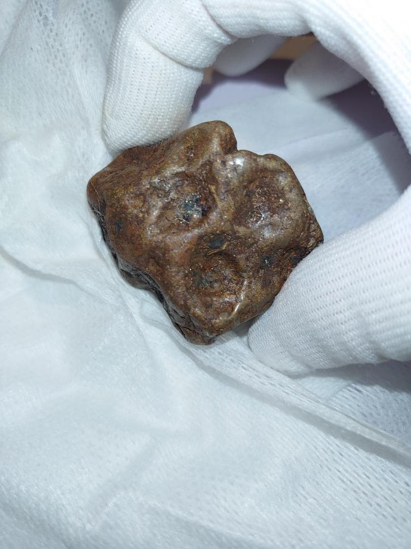 隕石 Sijoté-Alín. 189gr.