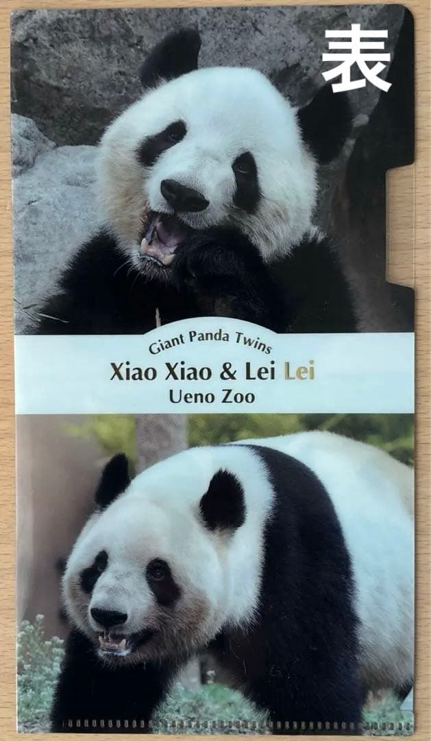 新品未開封】上野動物園 親子パンダぬいぐるみ シンシン シャオシャオ