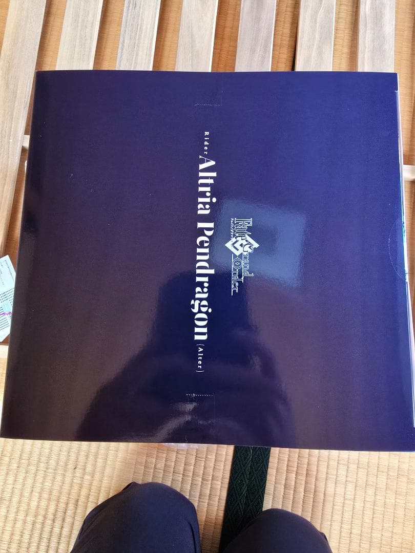 Fate/Grand Order ライダー/アルトリア・ペンドラゴン〔オルタ〕