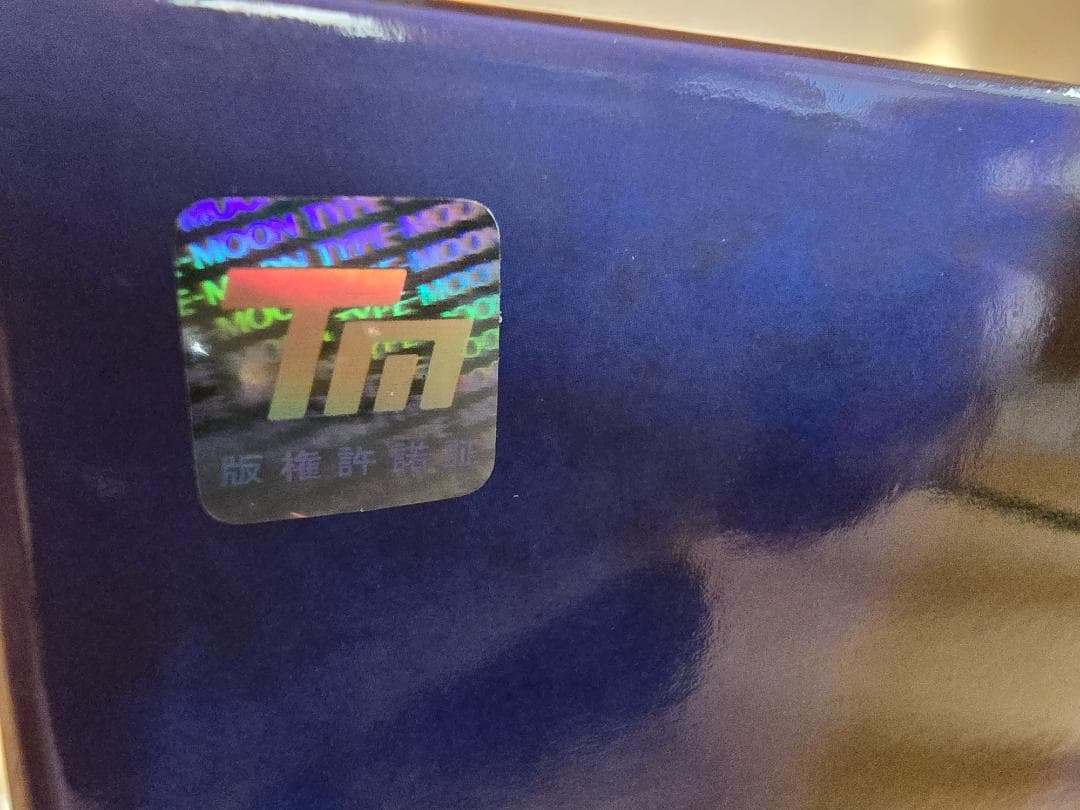 Fate/Grand Order ライダー/アルトリア・ペンドラゴン〔オルタ〕