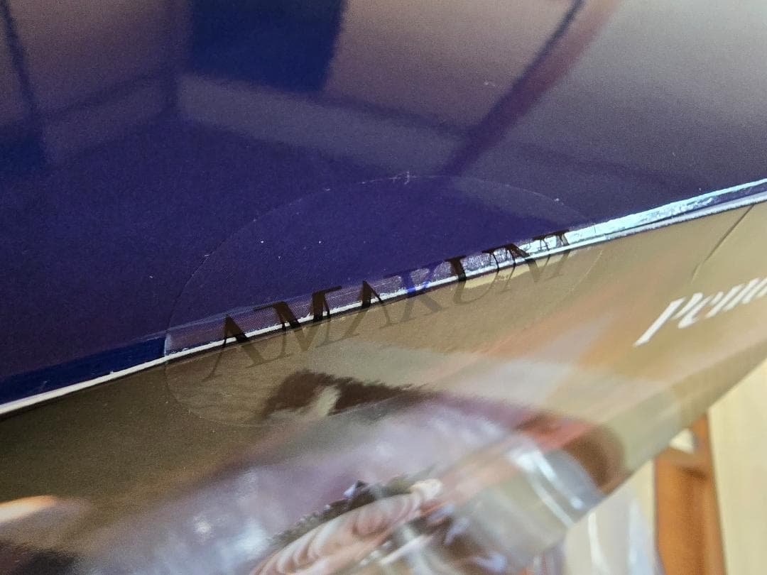 Fate/Grand Order ライダー/アルトリア・ペンドラゴン〔オルタ〕