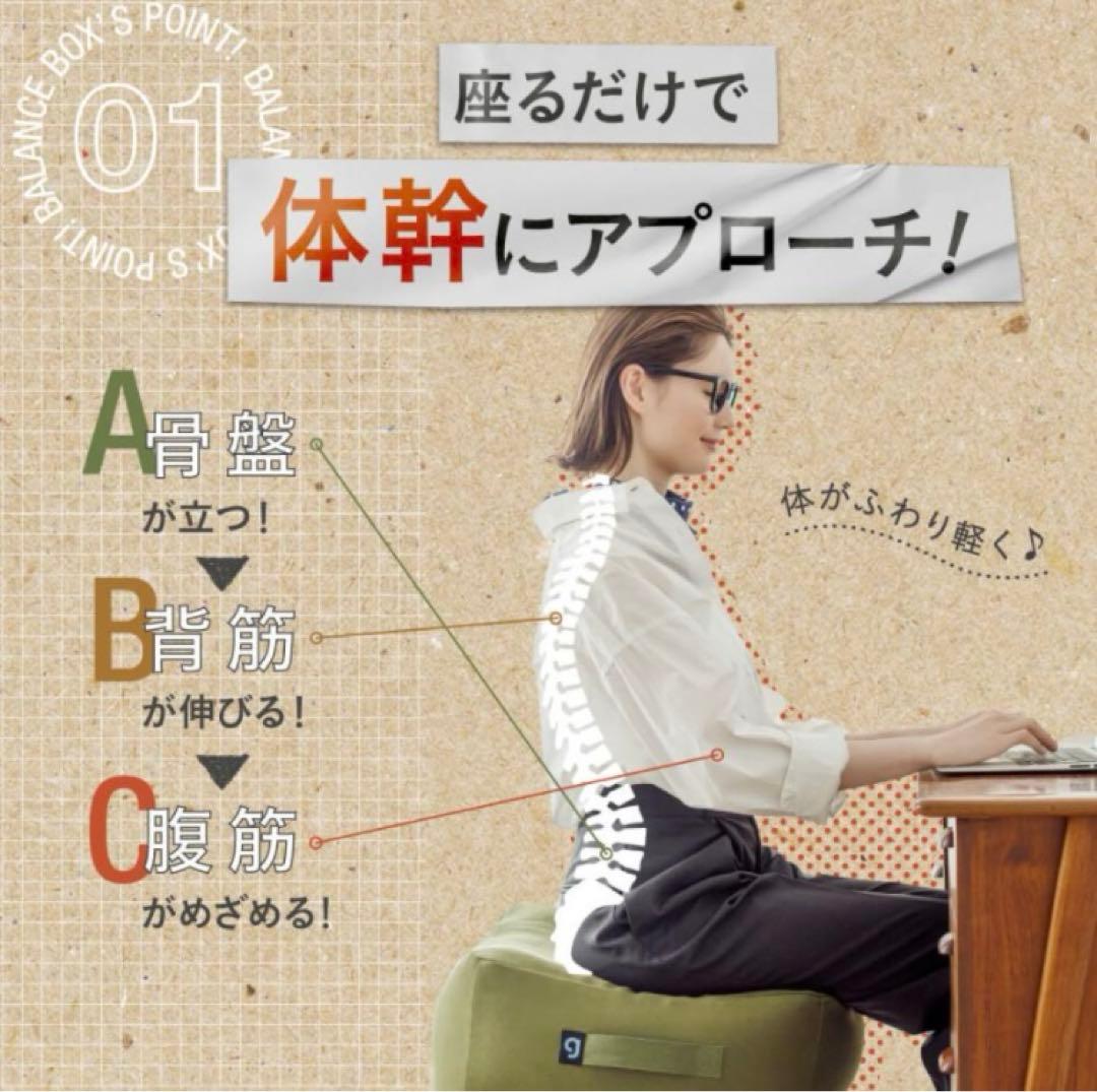 ★新品未使用★ジムテリア　gymterior　バランスボックス　正規品