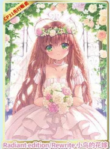 リフレクションアート Rewrite 神戸小鳥 Reflection Art - メルカリ