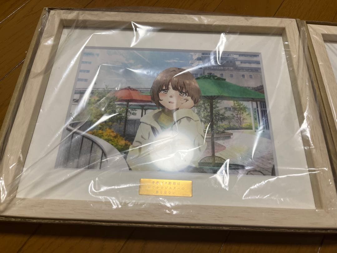 青ブタ キャラファイングラフ 梓川花楓/梓川かえで セット