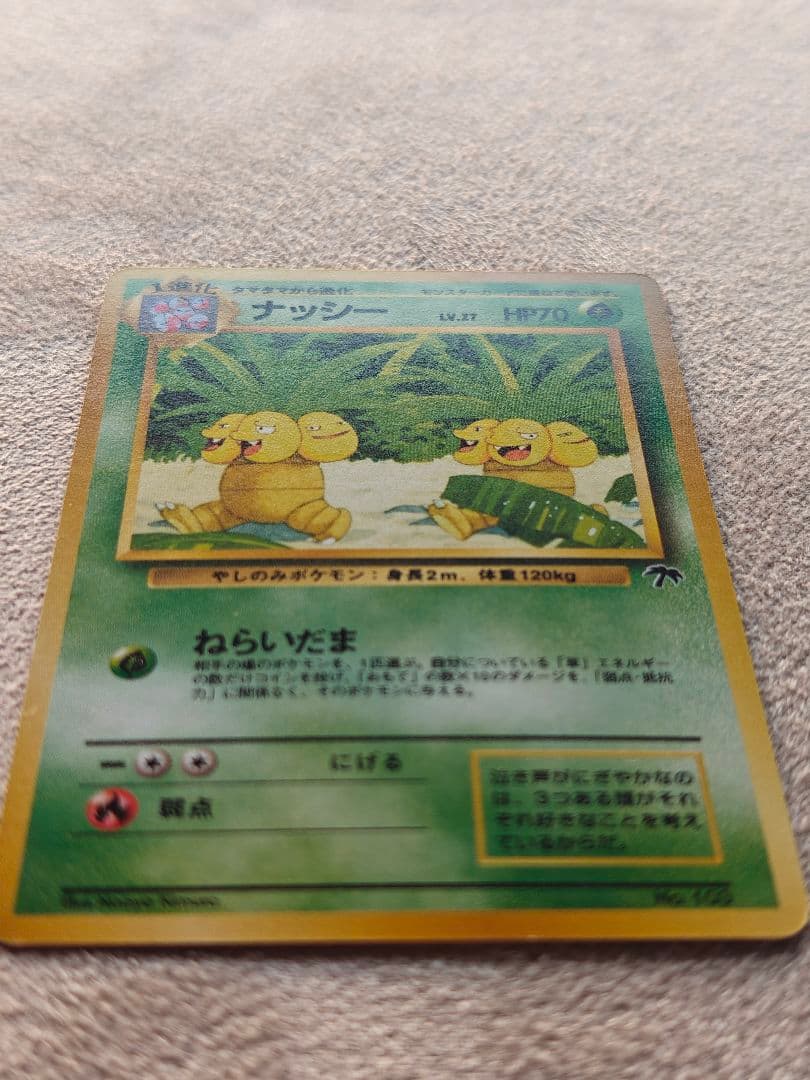 旧裏 ポケモンカード サザンアイランド トロピカルアイランド 海辺