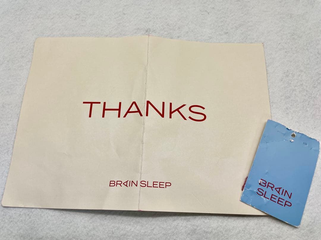 Brian Sleep Pillowピロー【スタンダード】