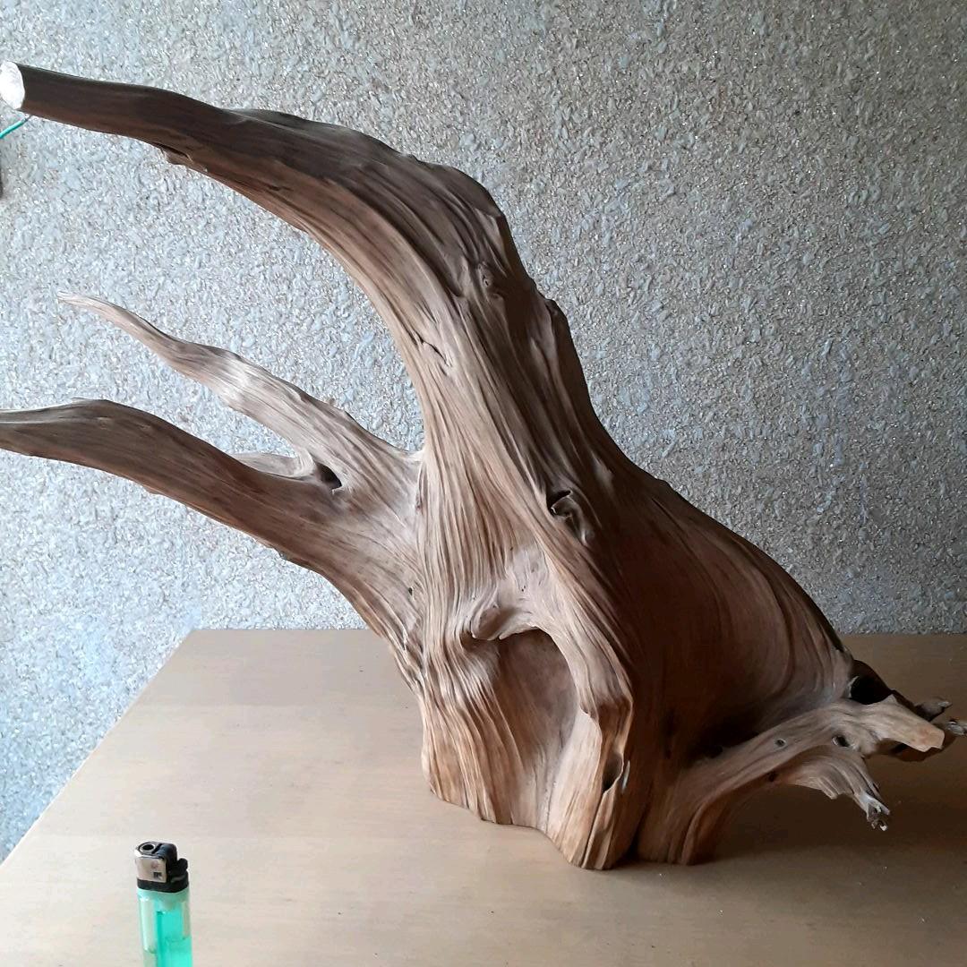 流木インテリア　(自作:加工済(ヤスリがけ))