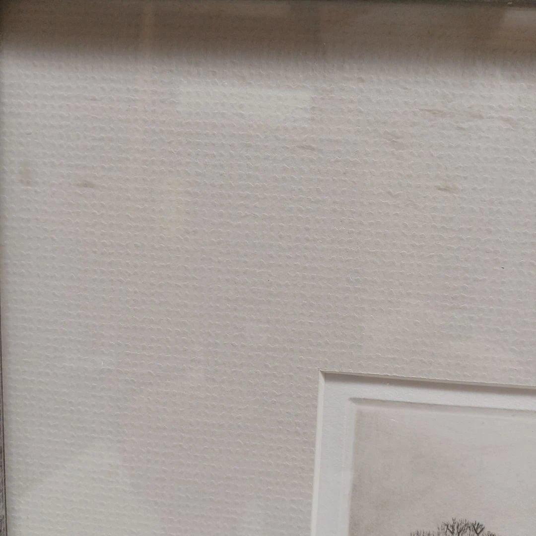 ブライアンウィリアムズTampa エッチング銅版画