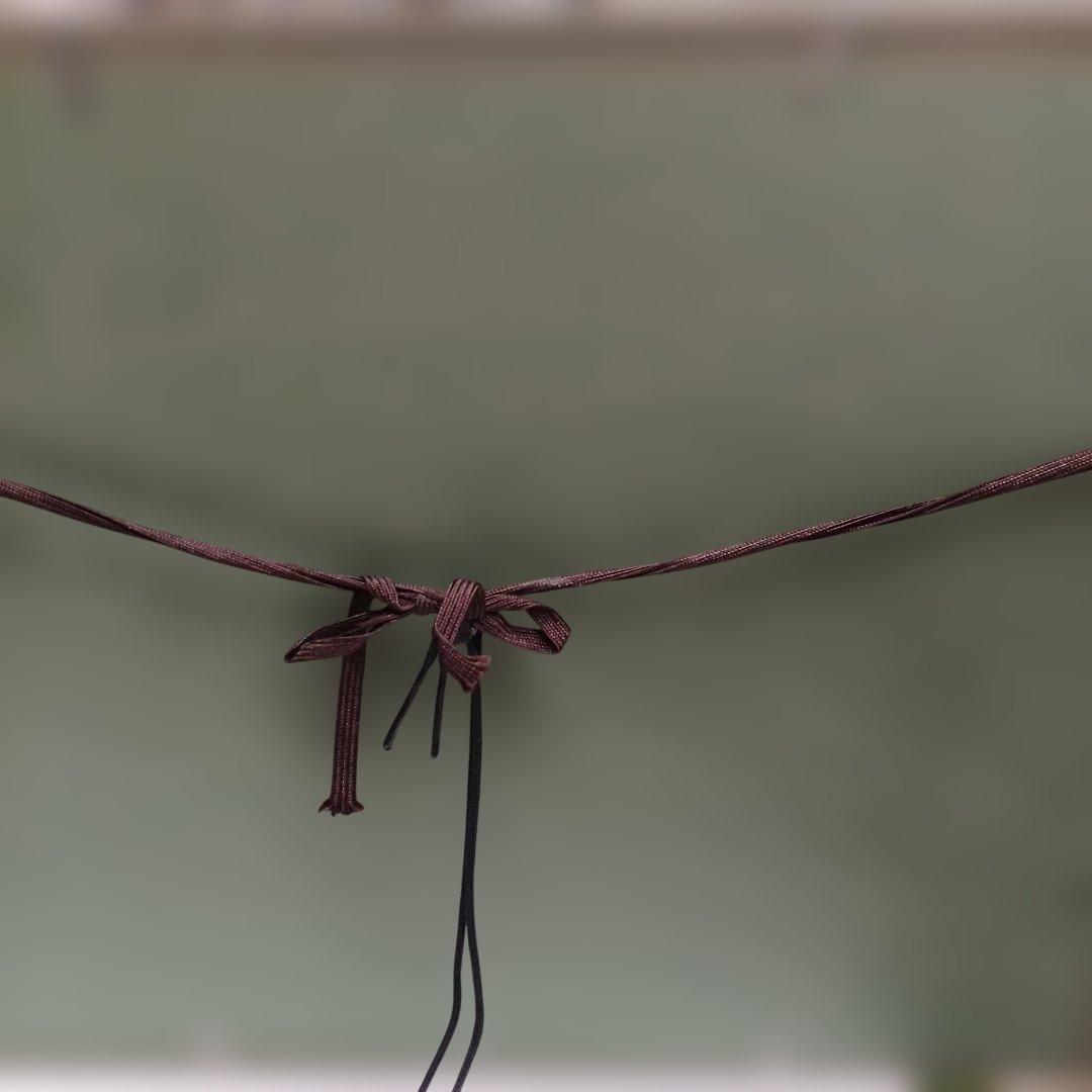 ブライアンウィリアムズTampa エッチング銅版画