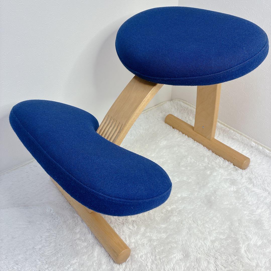 極美品】 バランスイージー 通常フレーム 防水カバー付き ブルー