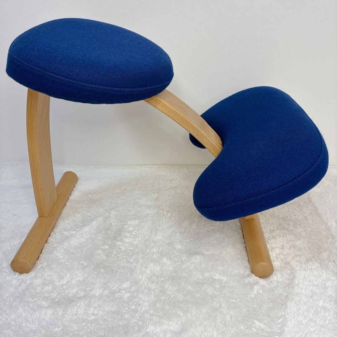 極美品】 バランスイージー 通常フレーム 防水カバー付き ブルー