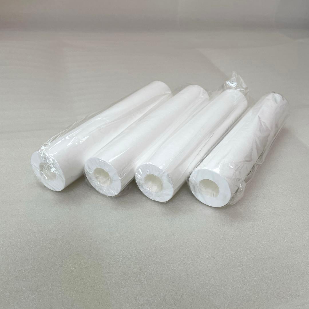 タイセイ　回帰水　JCP フィルター　4本セット　ナチュリターン　②