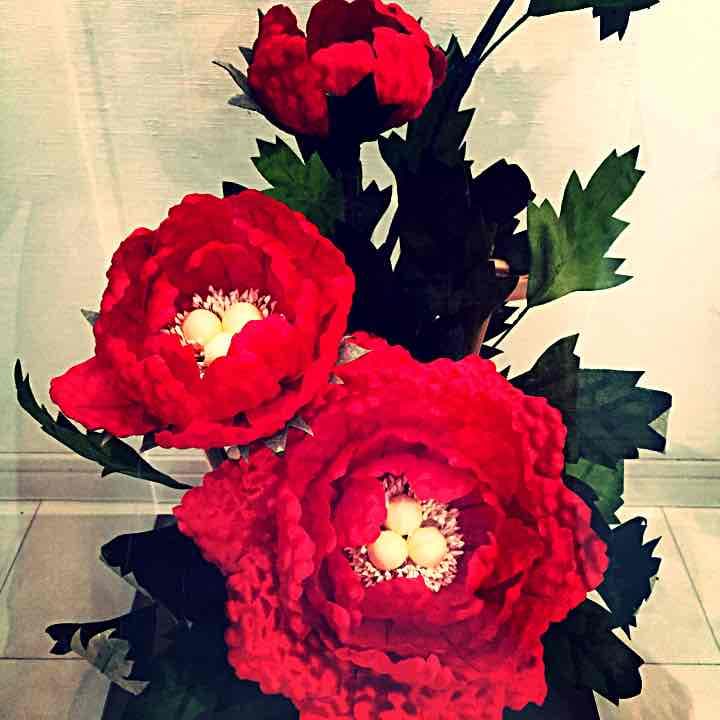 [大幅値下げ] 10万→5万円ツバキ (縁起物)