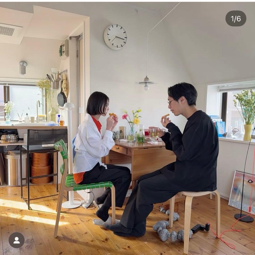 IKEA インガートルプ　INGATORP バタフライテーブル