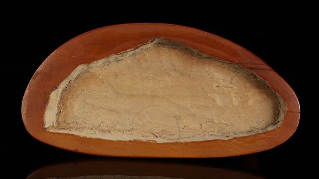 菊花石 菊紋石 一輪 白菊 台座付 2.2kg 鑑賞石 原石 水石 盆石 飾石