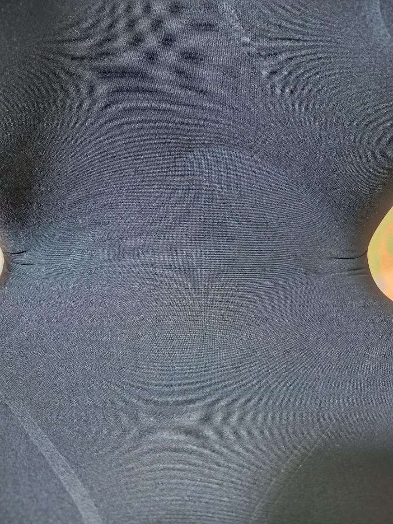 Style PREMIUM 椅子 骨盤 姿勢 ケア 座椅子 スタイル プレミアム