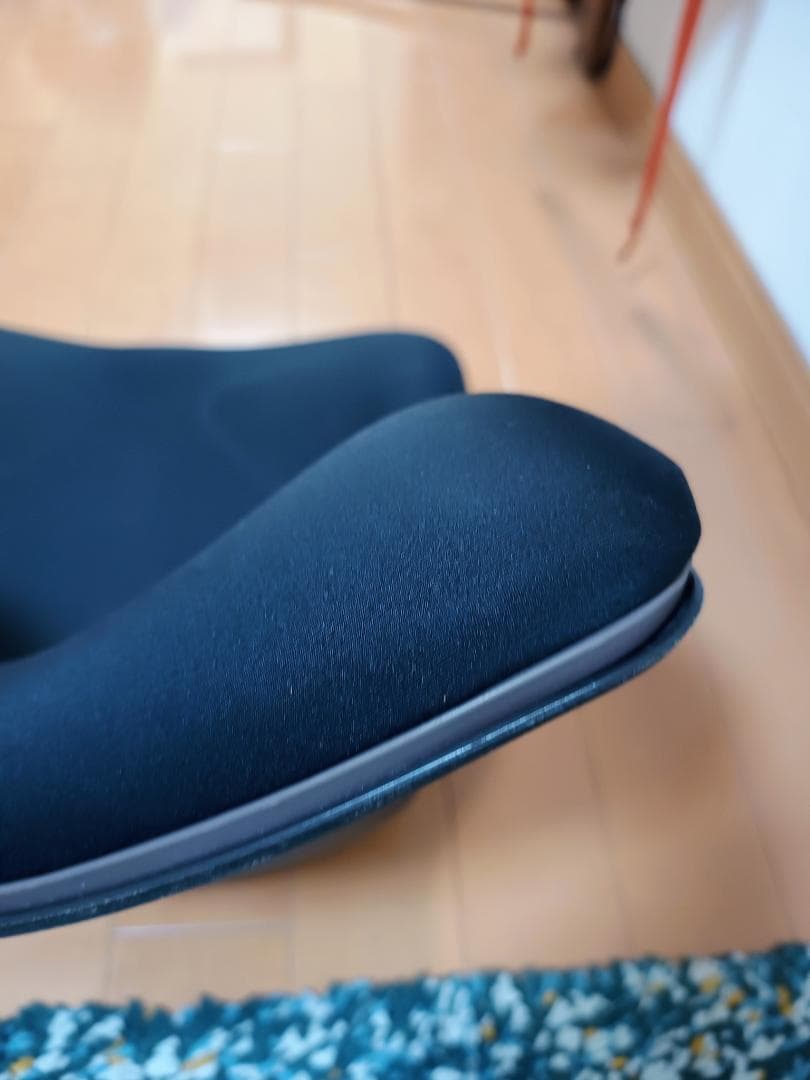 Style PREMIUM 椅子 骨盤 姿勢 ケア 座椅子 スタイル プレミアム