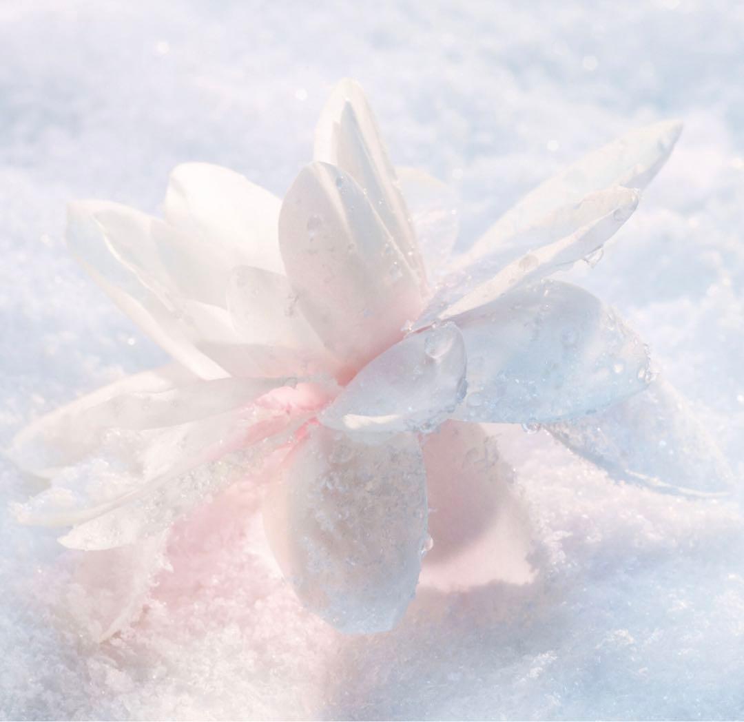 コーヒーおまけ付♡Dior♡スノー UV シールド トーンアップ