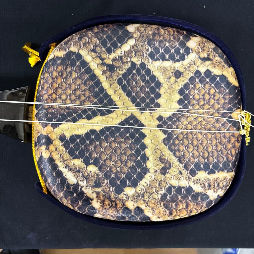 沖縄 三線 ハードケース付き