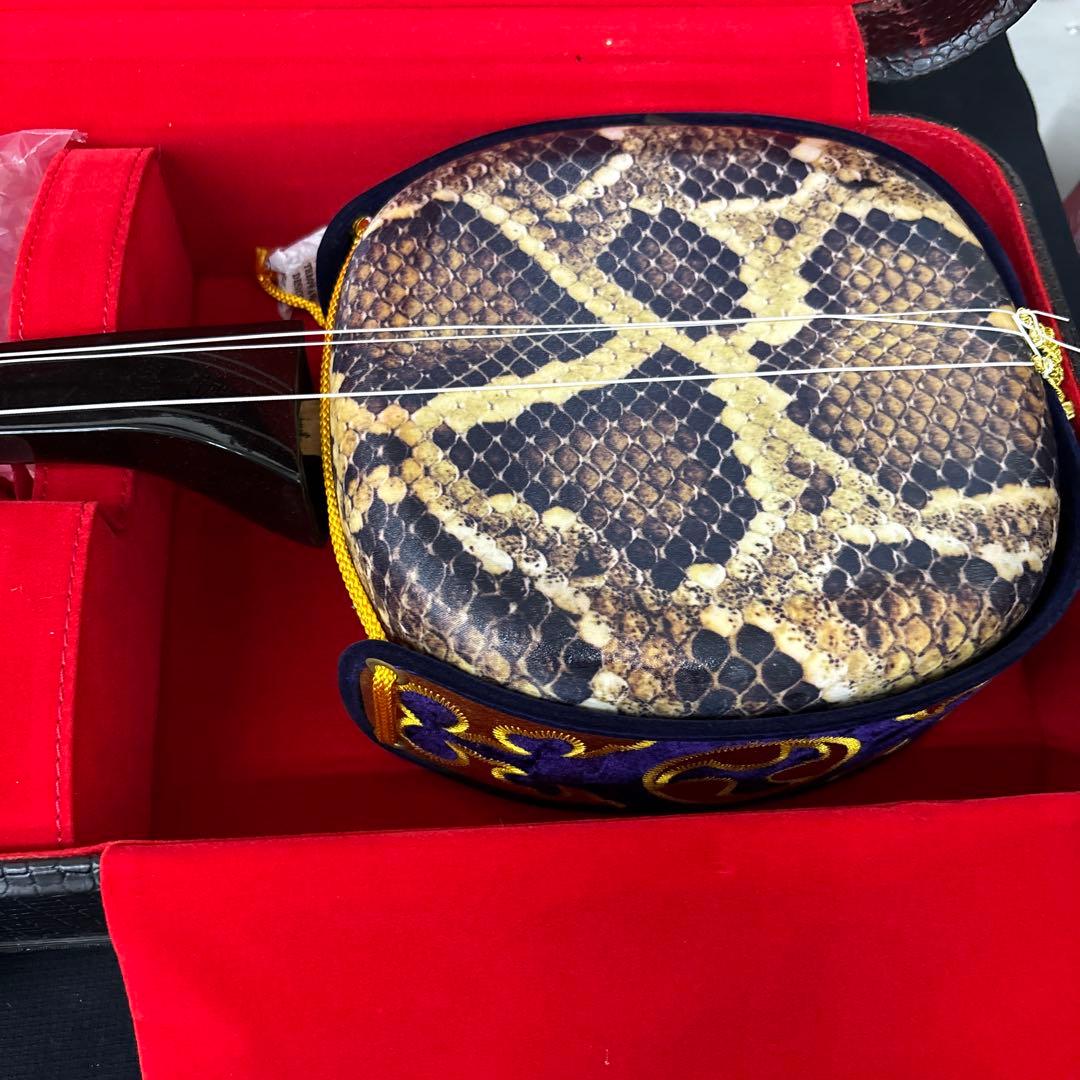 沖縄 三線 ハードケース付き