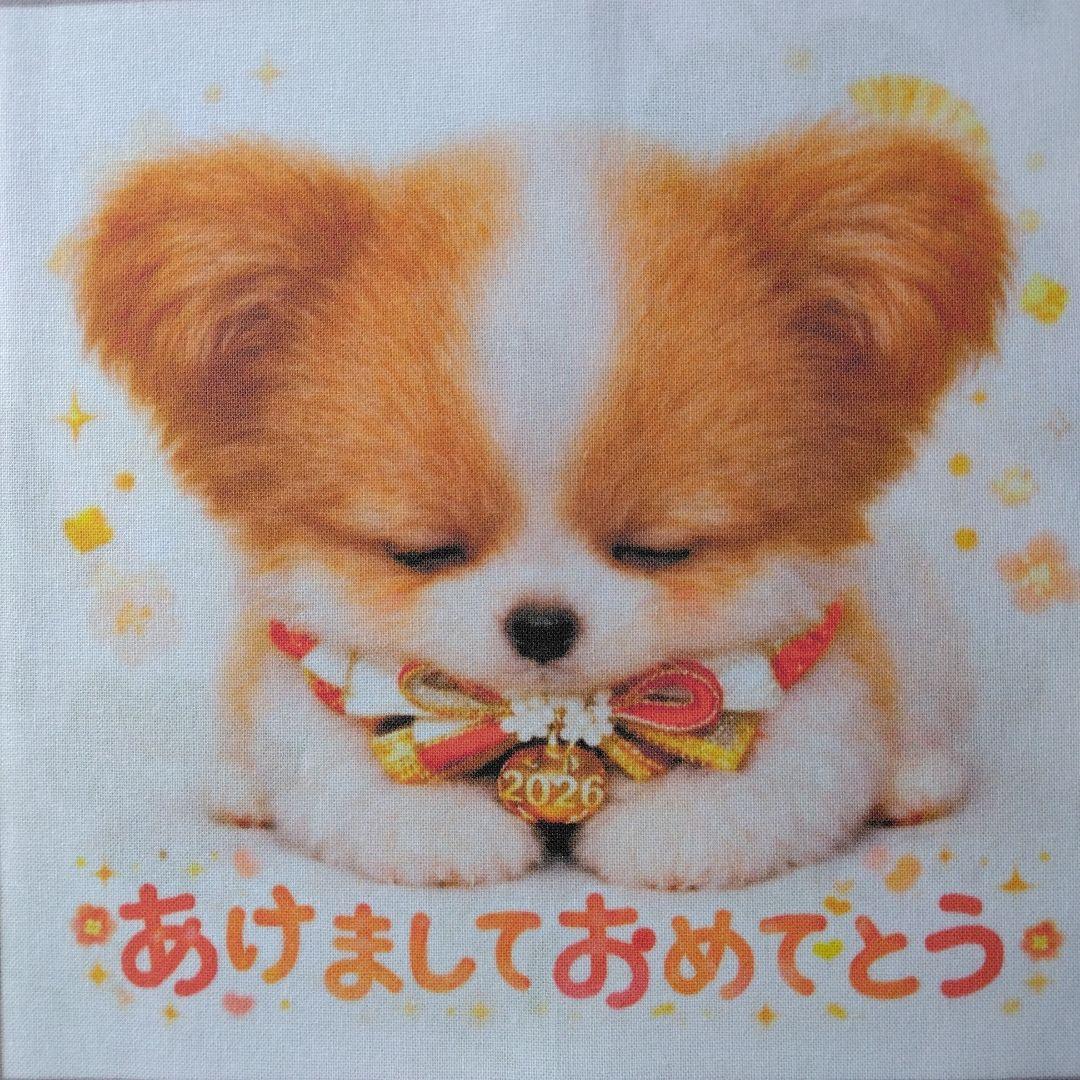 ☆受付☆パピヨン No.A