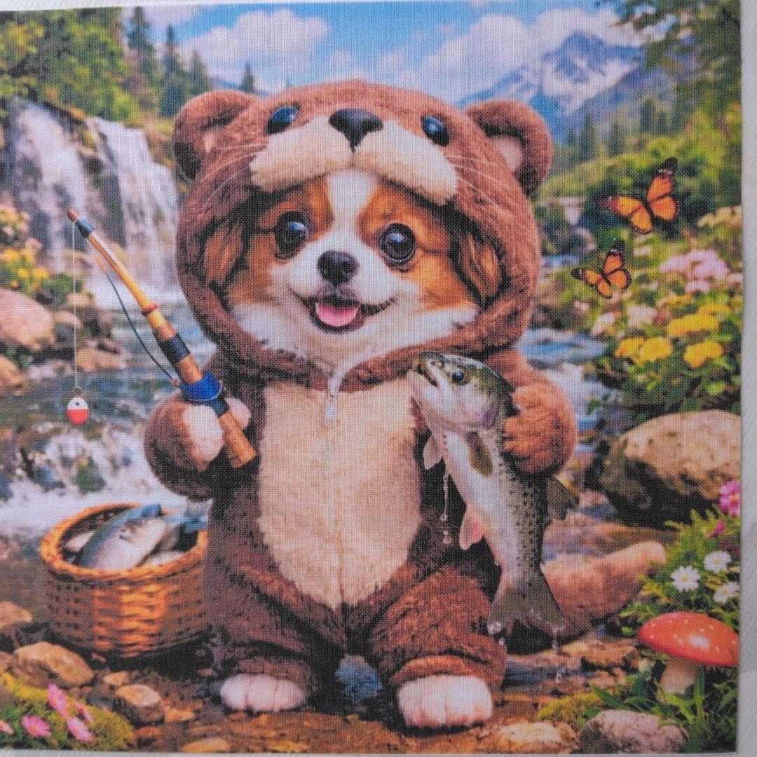 ☆受付☆パピヨン No.A