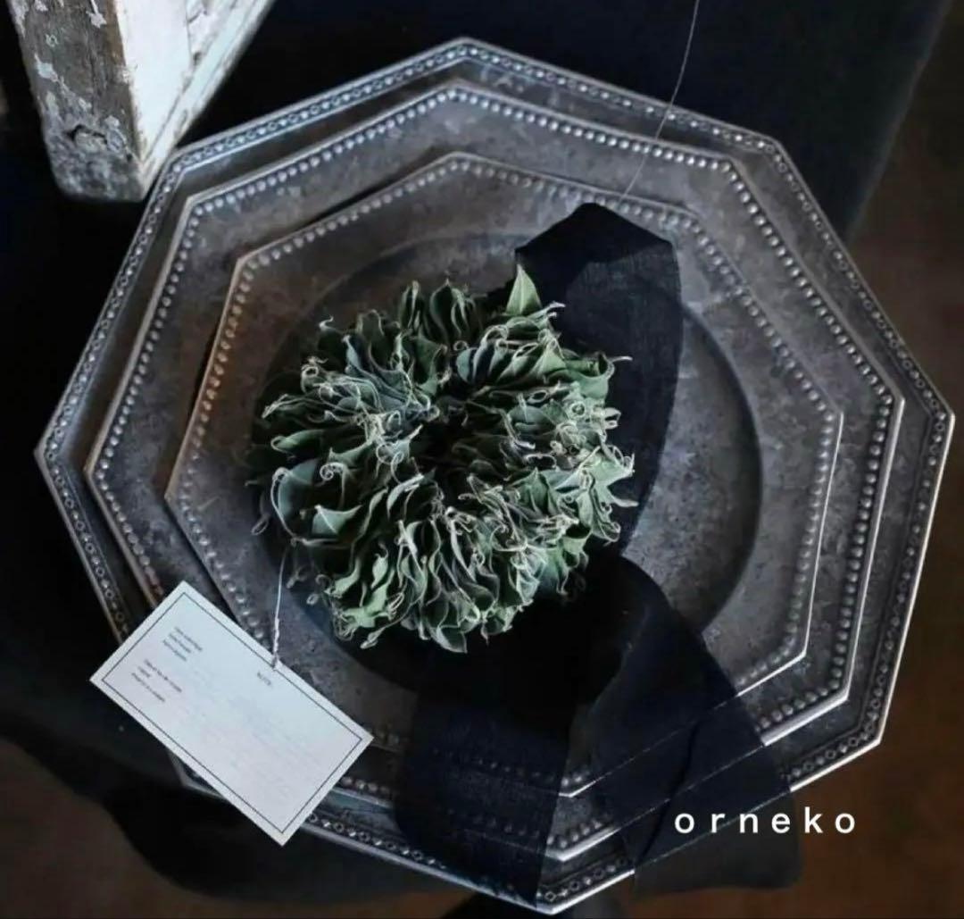 入手困難　co+fe オクトゴナルプレート　2枚　アスティエ　ハグオーワー　雅姫